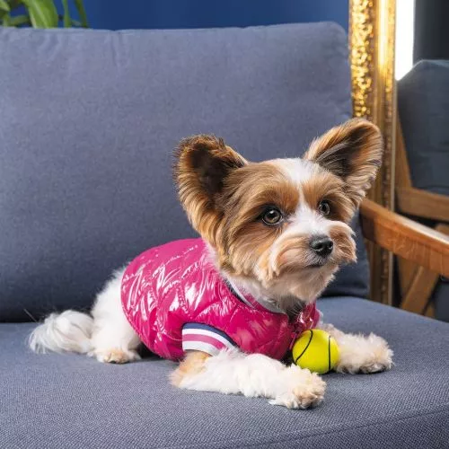 Бомбер Pet Fashion «Grace» для собак, размер XS, розовый (PR243014) - фото №4