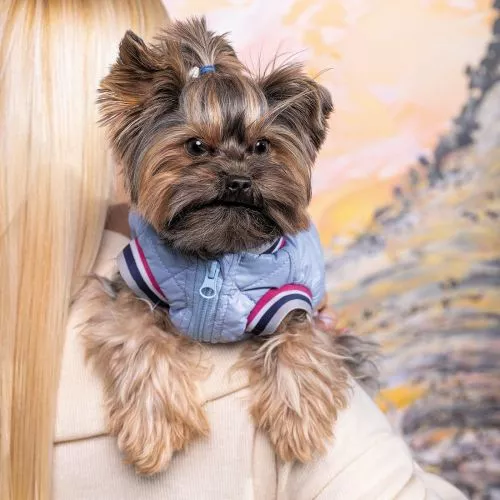 Бомбер Pet Fashion «Spike» для собак, размер M, голубой (PR243023) - фото №4