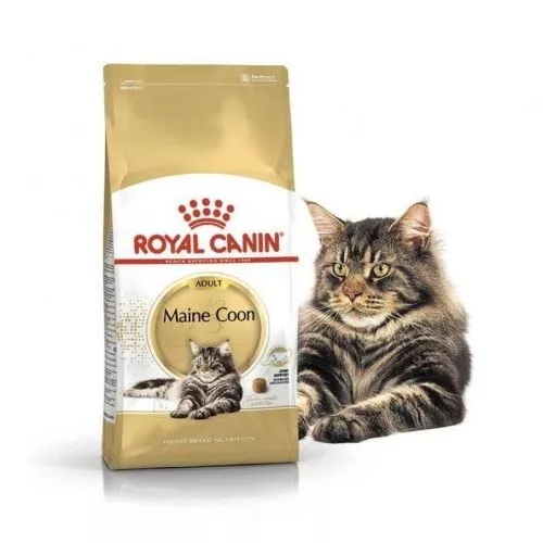 Сухой корм для кошек Royal Canin Maine Coon Adult 2 кг (домашняя птица) (2550020) - фото №2