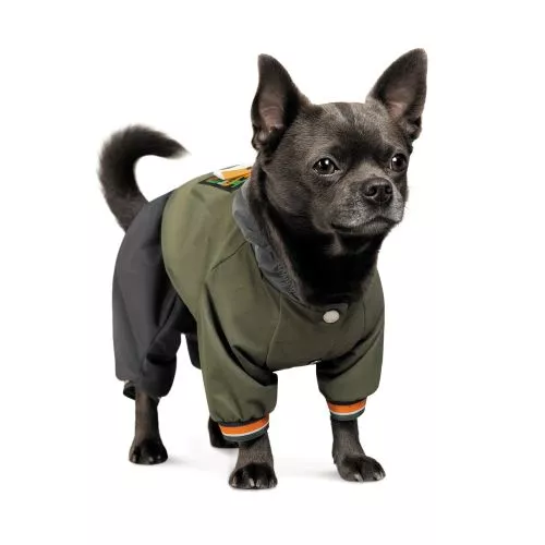 Дождевик Pet Fashion «Jimi» для собак, размер S, зеленый (лимитированная серия) - фото №2