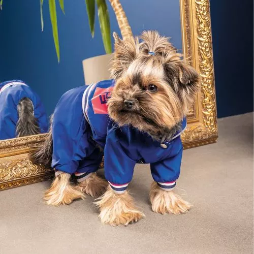 Дощовик Pet Fashion «Silver» для собак, розмір XL, синій - фото №3