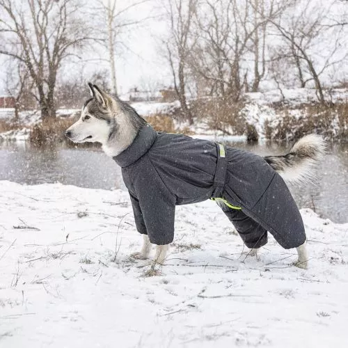 Pet Fashion Cold Комбінезон для собак сірий L (PR242630) - фото №3