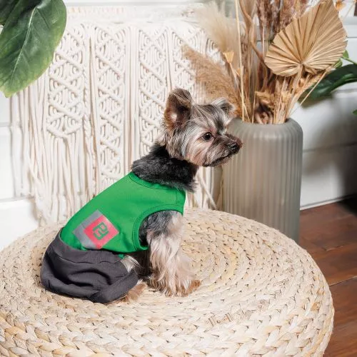 Костюм Pet Fashion «Aleks» для собак, розмір M, зелений - фото №2