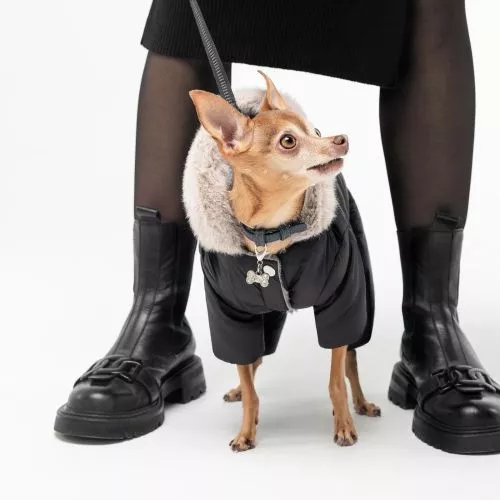 Pet Fashion Black Костюм для собак чорний S (PR242863) - фото №3