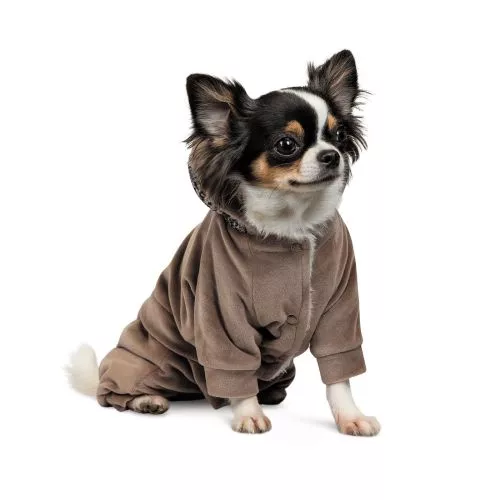 Костюм Pet Fashion «Soft» для собак, размер S, коричневый (лимитированная серия) (PR242789) - фото №2