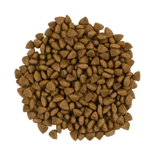 Сухой корм Savory для кошек с чувствительным пищеварением, со свежим ягненком и индейкой, 2 кг (30082) - фото №2