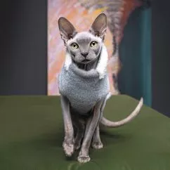Свитер Pet Fashion «Cat» для кота, размер XXS, меланж