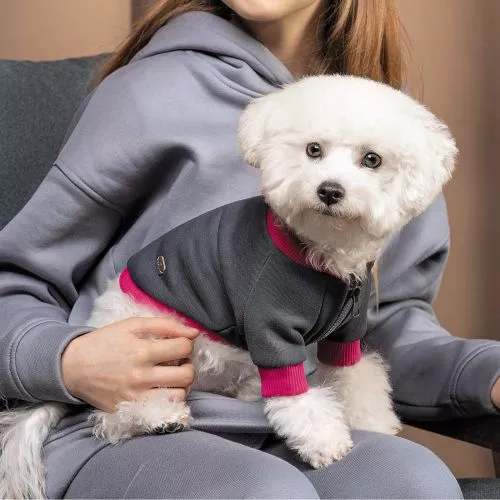 Толстовка Pet Fashion «Bim» для собак, розмір S, сіра (PR243030) - фото №4