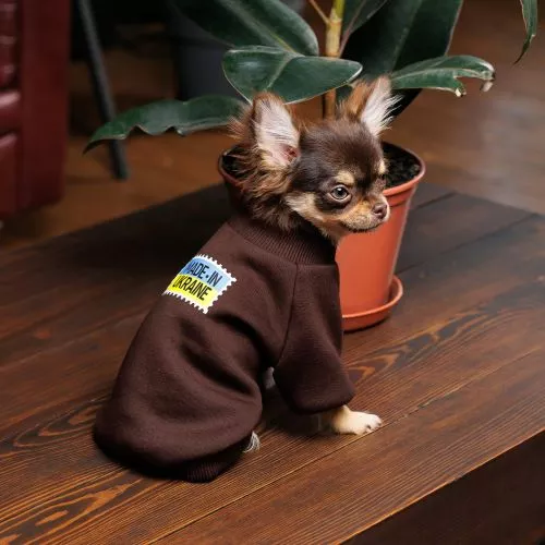 Толстовка Pet Fashion Made in Ukraine для собак, розмір M, шоколадний - фото №3