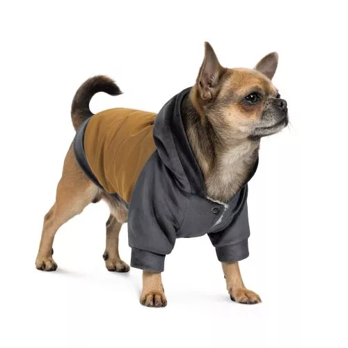 Толстовка Pet Fashion «Rollie» для собак, размер S, бежевая/серая (лимитированная серия) - фото №2