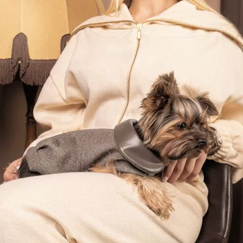 Жакет Pet Fashion «Harry» для собак, размер M, коричневый - фото №4