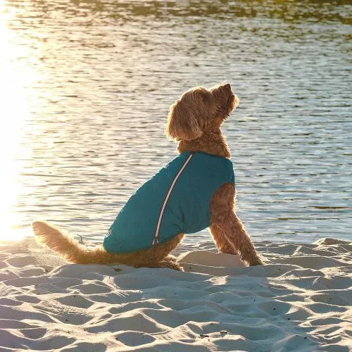 Жилет Pet Fashion «E.Vest» для собак, розмір L, морська хвиля (PR242417) - фото №3
