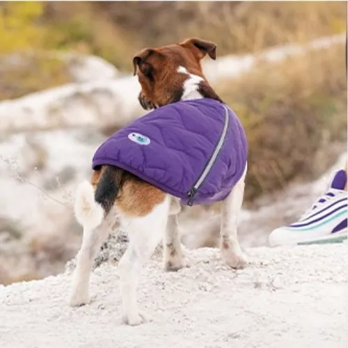 Жилет Pet Fashion «E.Vest» для собак, розмір M, фіолетовий (PR242423) - фото №2