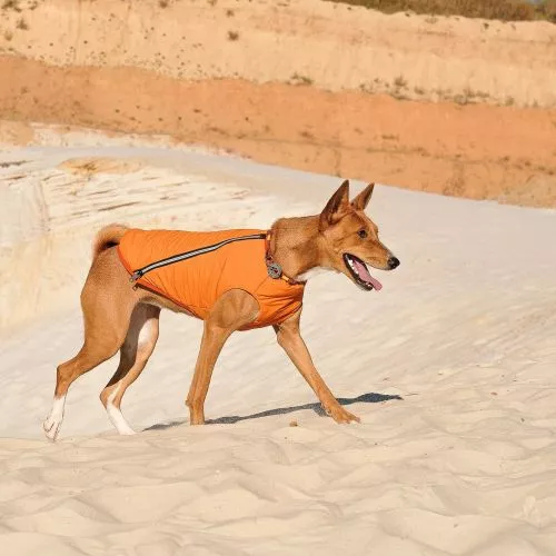Жилет Pet Fashion «E.Vest» для собак, розмір M, помаранчевий (PR242431) - фото №2