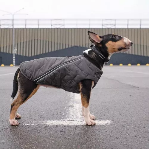 Жилет Pet Fashion «E.Vest» для собак, размер M, серый (PR242439) - фото №2