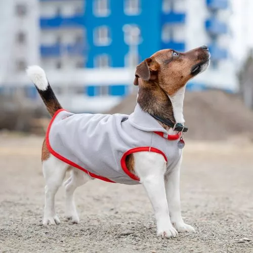 Жилет Pet Fashion «Fleecy» для собак, розмір S, сіро-червоний - фото №4