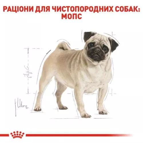 Royal Canin Pug 3 kg сухий корм для дорослих собак породи мопс - фото №4