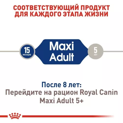 Royal Canin Maxi Adult 4 kg сухой корм для собак крупных пород - фото №4