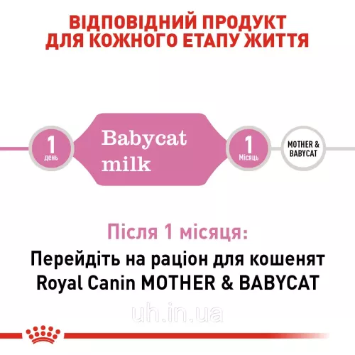 Royal Canin Babycat Milk замінник молока для котів 300 г (25530039) - фото №3