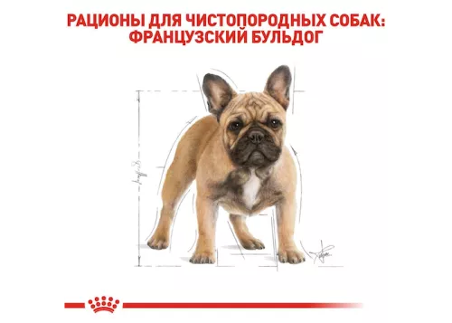 Royal Canin French Bulldog 3 kg сухий корм для дорослих собак породи французький бульдог - фото №5