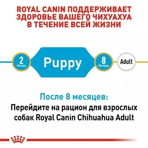 Royal Canin Puppy Chihuahua 500 g (домашній птах) сухий корм для цуценят породи - фото №5