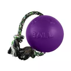 Іграшка для собак Давай грати ROMP-N-ROLL 12 см фіолетовий Jolly Pets (645PRP)