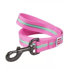 Поводок для собак нейлоновый Collar WAUDOG Nylon, светонакопительный, L, Ш 25 мм, Длинна 122 см (45757)