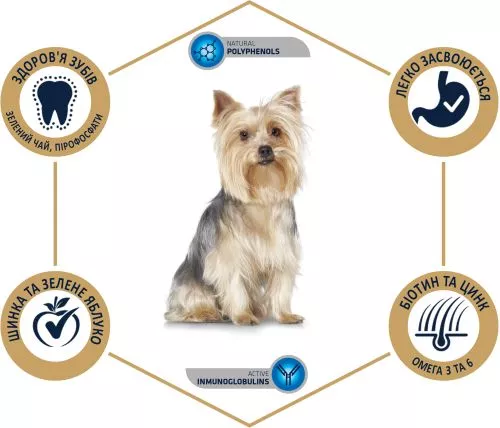 Сухой корм для собак для йоркширских терьеров Advance Dog Yorkshire Terrier 1.5 кг (8410650170480) - фото №3