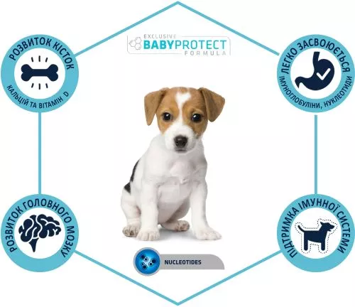 Сухой корм для щенков маленьких пород Advance Puppy Protect Mini 800 г (8410650150123) - фото №3