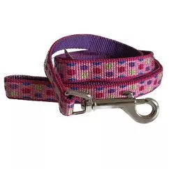 Повідець Coastal Pet Attire Weave для собак, 1смХ1,8м , Крапка (40306_PLK06)