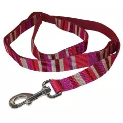 Поводок Coastal Pet Attire Weave для собак, 2,5 см Х1, 2м, Полоска (40904_STP04)