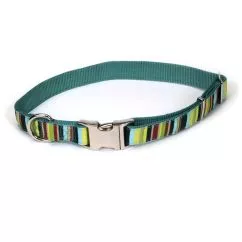 Ошейник Coastal Pet Attire Ribbon для собак, 2,5х46-66 см, Мультиколор (61971_MSP26)