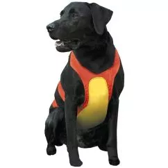 Жилетка Coastal for Hunting Dogs Chest Protector защита для охотничьих собак, Оранжевая, средняя, для собак 16-27 кг (R1900_MED)