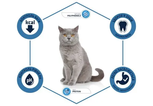 Сухой корм Advance Cat Sterilized для стерилизованных кошек с индейкой 1,5 кг (577219) - фото №3