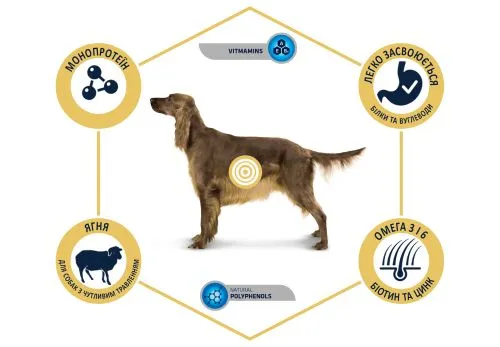 Сухой корм Advance Dog Med/Maxi Sensitive Lamb&Rice для взрослых собак с ягненком и рисом 3 кг (923544) - фото №3