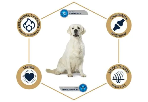 Сухой корм Advance Dog Labrador & Golden Retriever для Лабрадоров и Голден ретриверов с курицей 12 кг (536510) - фото №3