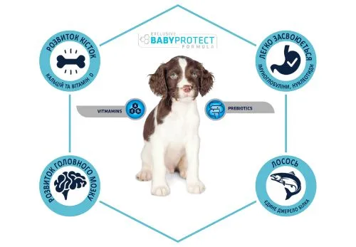 Сухий корм Advance Dog Puppy Sensitive для цуценят усіх порід з чутливим травленням з лососем і рисом 12 кг (920179) - фото №3