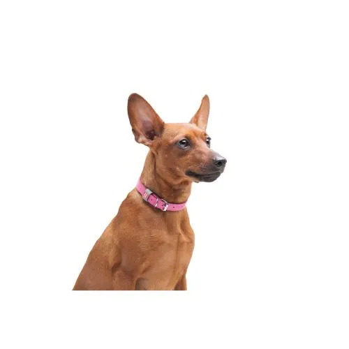 Нашийник для собак шкіряний Collar WAUDOG Classic, Ш 15 мм, Дл 27-36 см рожевий (2077) - фото №3