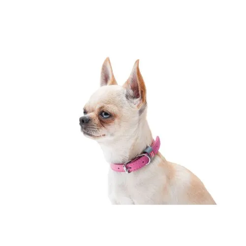 Нашийник для собак шкіряний Collar WAUDOG Classic, Ш 20 мм, Дл 30-39 см рожевий (2177) - фото №2