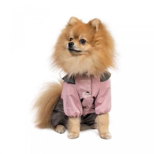 Дождевик Pet Fashion «Ariel» для девочки, размер M, розовый (PR242988) - фото №2