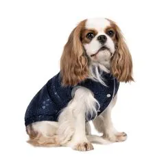 Жилет Pet Fashion «Lucky » для собак, размер XS, синий