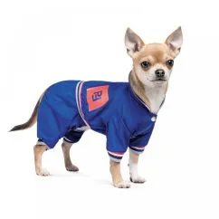 Дождевик Pet Fashion «Silver» для собак, размер S, синий (PR242993)