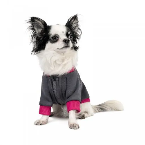 Толстовка Pet Fashion «Bim» для собак, размер S, серая (PR243030) - фото №3
