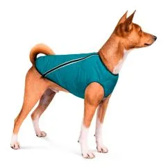 Жилет для собак Pet Fashion E.Vest XL (бірюзовий) (PR242418)