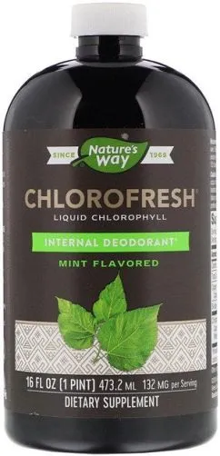 Натуральная добавка Nature's Way Chlorofresh Liquid 16 oz Mint (2022-10-0612)