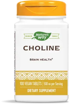 Вітамін Nature's Way Choline 500 мг 100 таб (2022-10-1077)