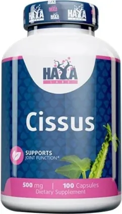 Натуральная добавка Haya Labs Cissus 500 мг 100 капс (853809007301)