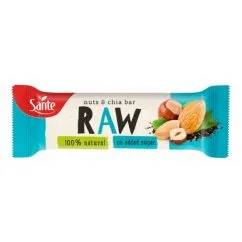 Батончик GO ON Nutrition RAW Fruit Bar Nuts and Chia 35 г 1/36 (5900617036391)