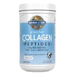 Препарат для суставов и связок Garden of Life Grass Fed Collagen Peptides 280 г (0658010124577)